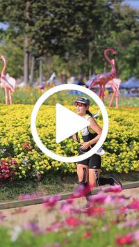 BIB:  <button type="button" onclick="openModal(27588478)" class="btn btn-primary btn-sm float-right" data-toggle="modal" data-target=".modal-high-quality">
                <i class="fa fa-download"></i> Download
                </button>